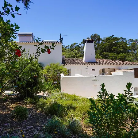 Roofed In Albufeira With Private Swimming Pool
